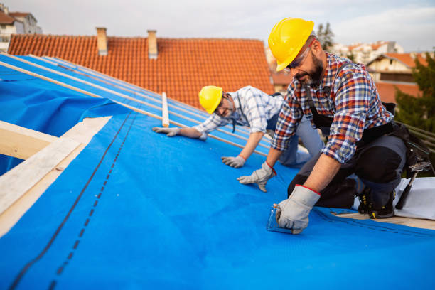 Roof Gutter Cleaning in Cornersville, TN